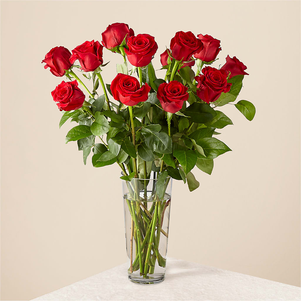 Long Stem Red Rose Bouquet – Salem Floral Llc, West Salem WI