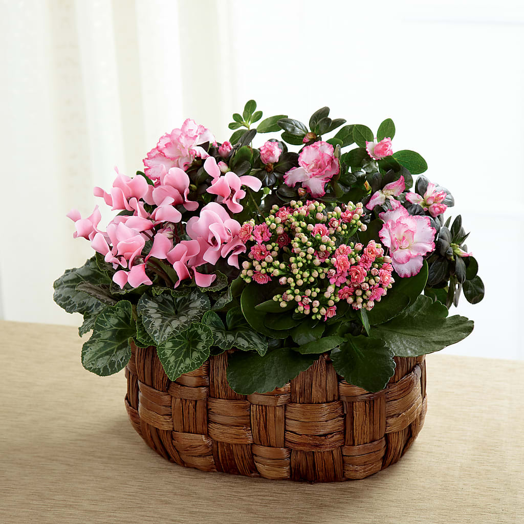 Pink Assortment – Salem Floral Llc, West Salem WI