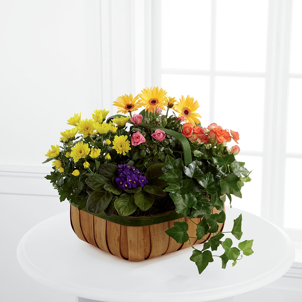 Gentle Blossoms Basket – Salem Floral Llc, West Salem WI