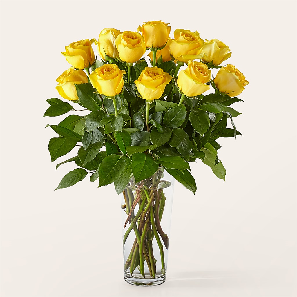Long Stem Yellow Rose Bouquet – Salem Floral Llc, West Salem WI
