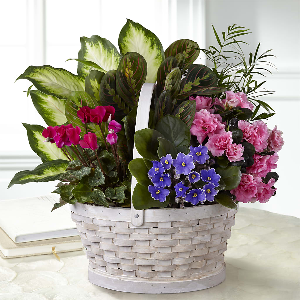 Peaceful Garden Planter – Salem Floral Llc, West Salem WI