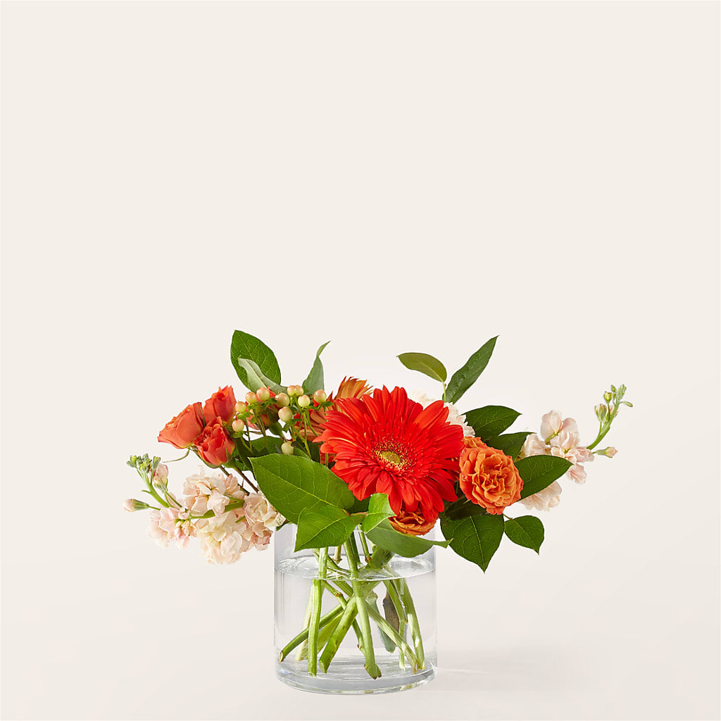 Paloma Please Bouquet – Salem Floral Llc, West Salem WI