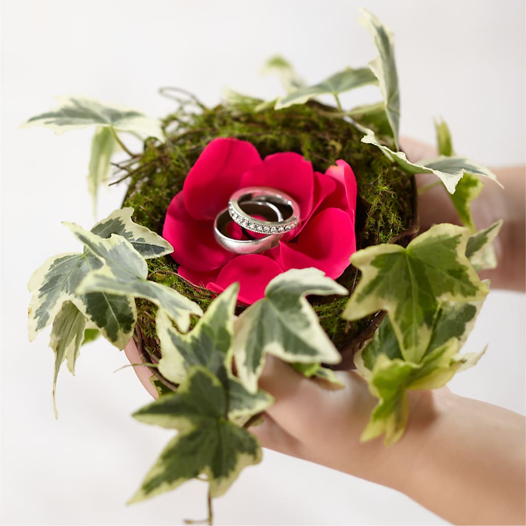 Lila Rose Ring Nest – Salem Floral Llc, West Salem WI