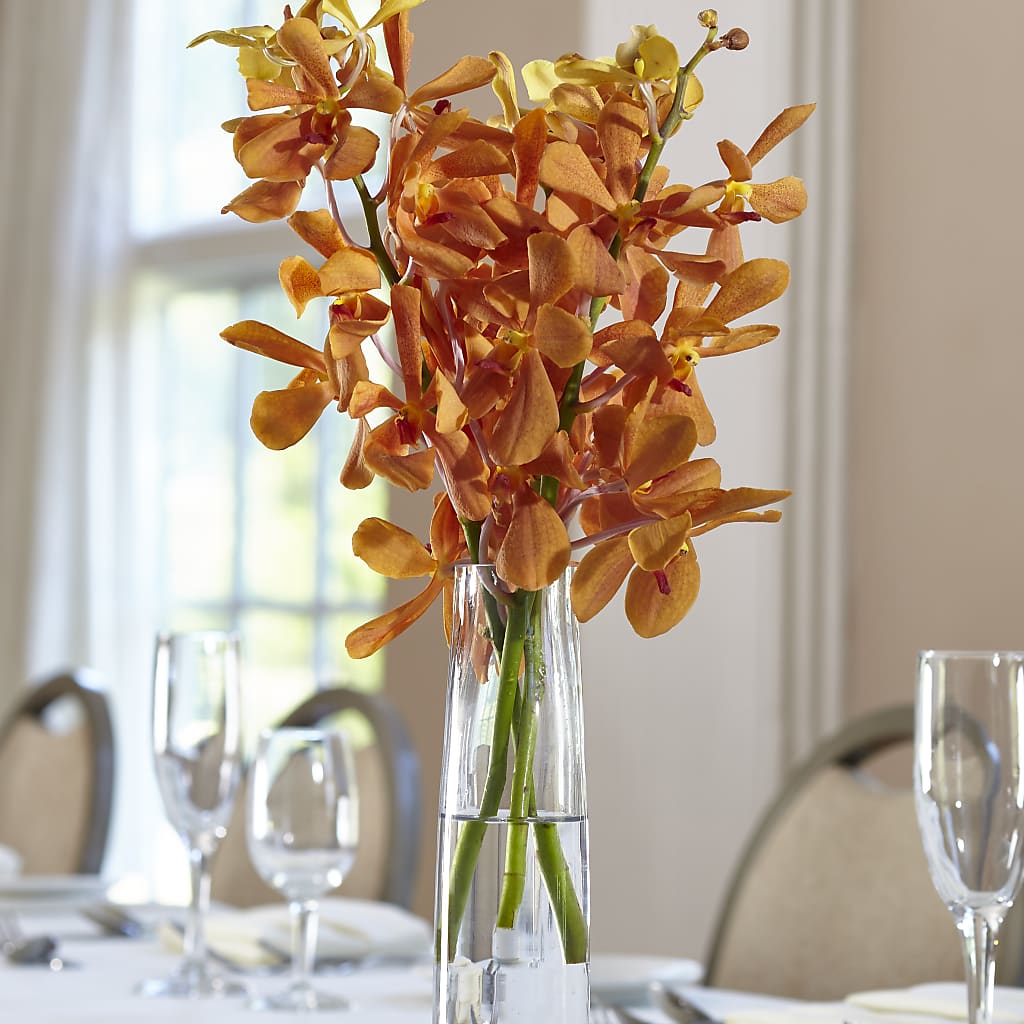 Orange Mokara Bud Vase – Salem Floral Llc, West Salem WI