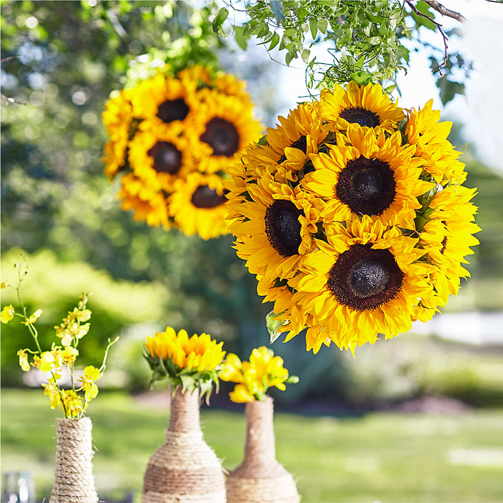 Sublime Garden Hanging Arrangement – Salem Floral Llc, West Salem WI