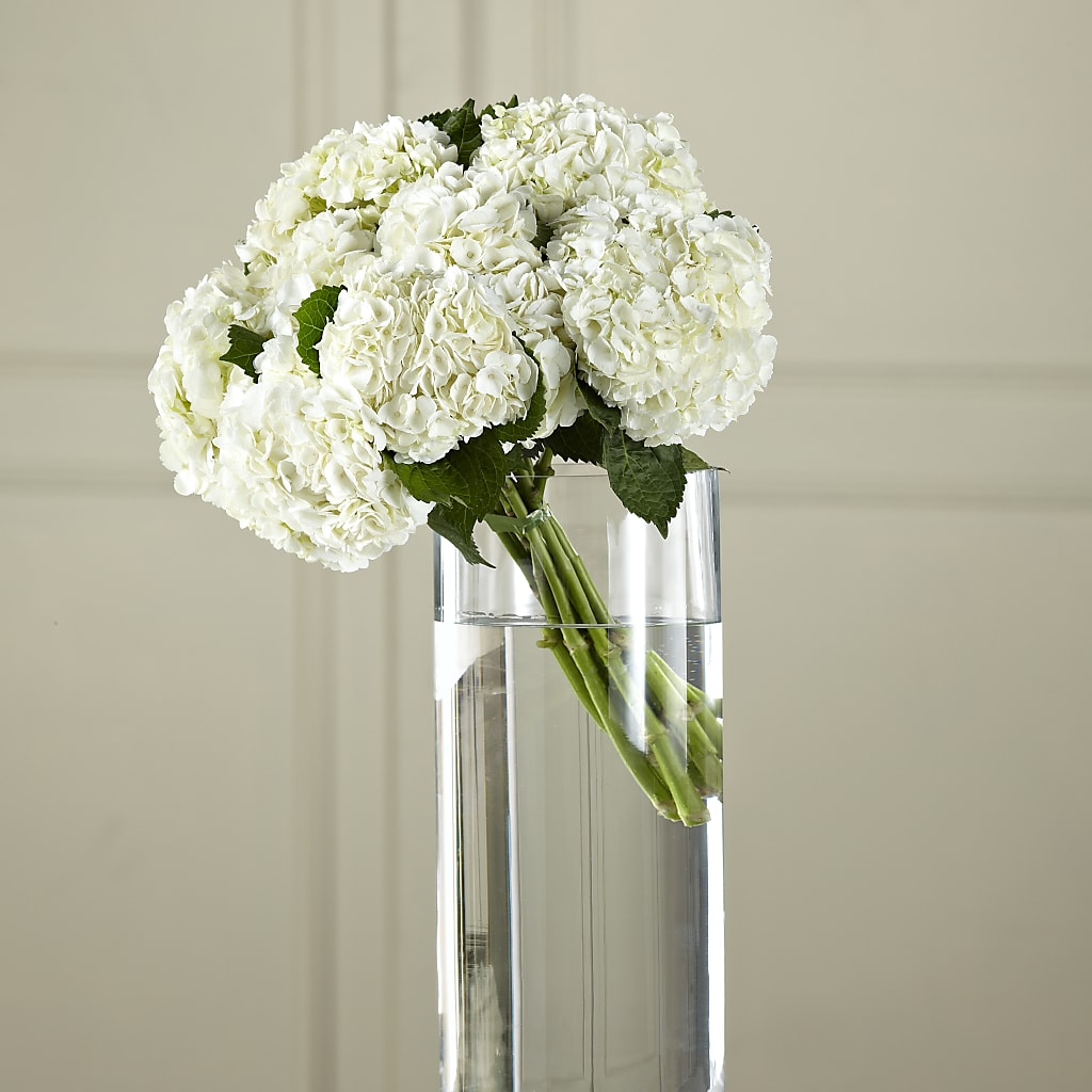 White Hydrangea Hand-Tied Bouquet – Salem Floral Llc, West Salem WI