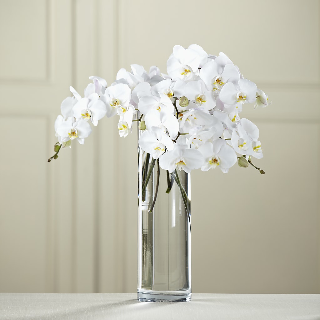 White Phalaenopsis Bouquet – Salem Floral Llc, West Salem WI