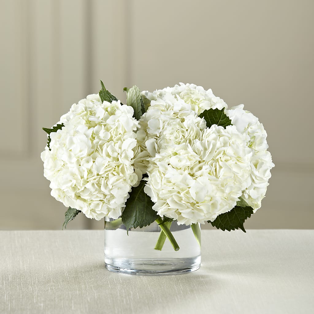 White Hydrangea Bouquet – Salem Floral Llc, West Salem WI