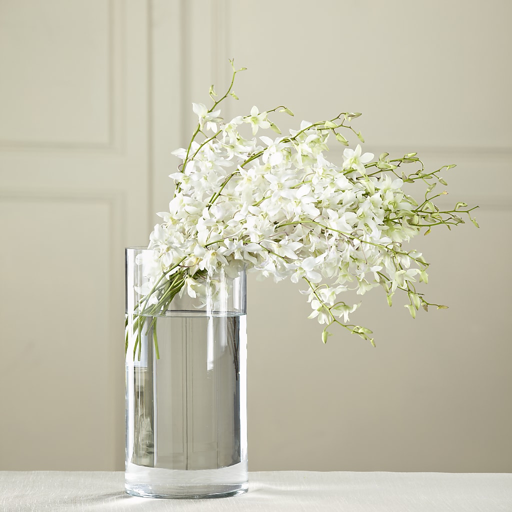 White Dendrobium Bouquet – Salem Floral Llc, West Salem WI