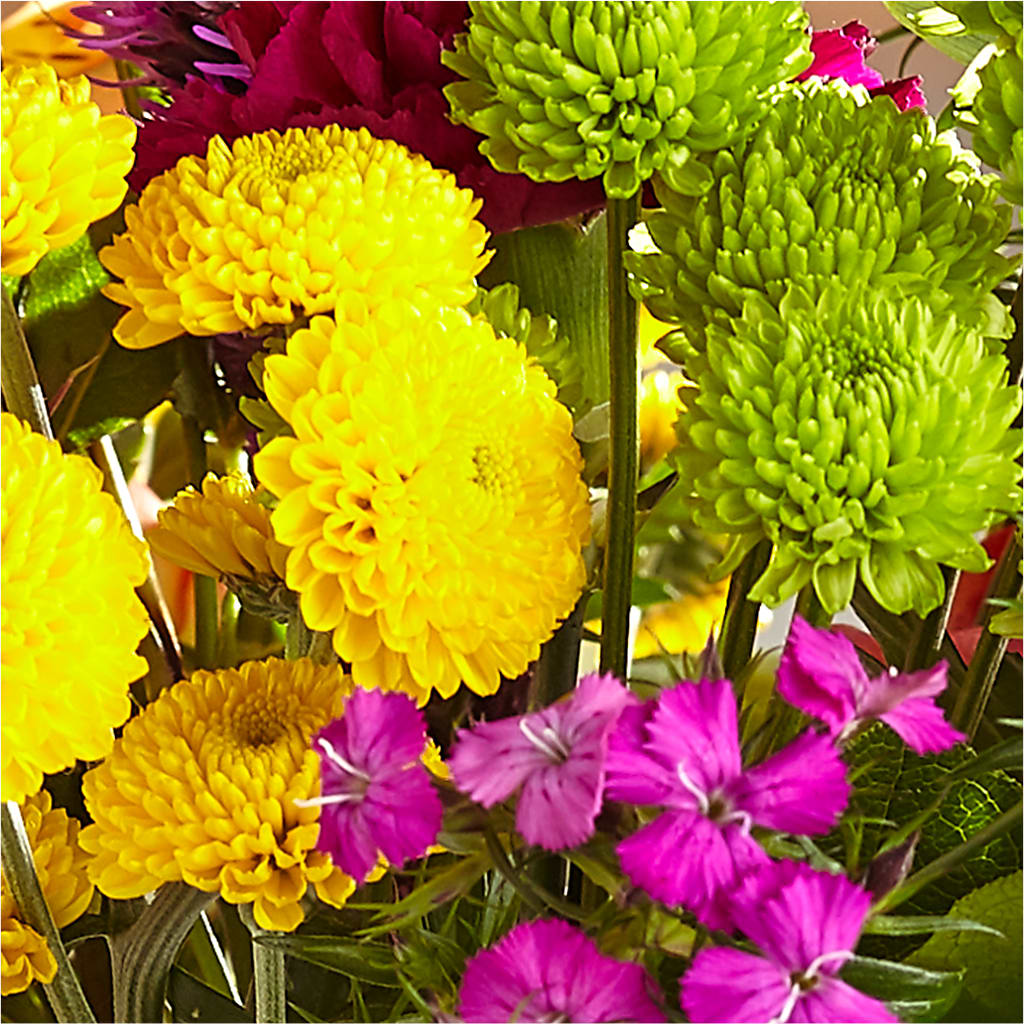 Bold & Bright – A Florist Original –  Salem Floral Llc, West Salem WI