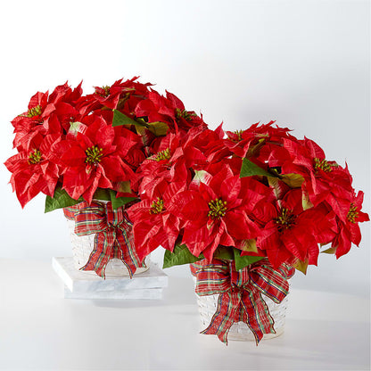 Happiest Holidays Poinsettia Bundle –  Salem Floral Llc, West Salem WI