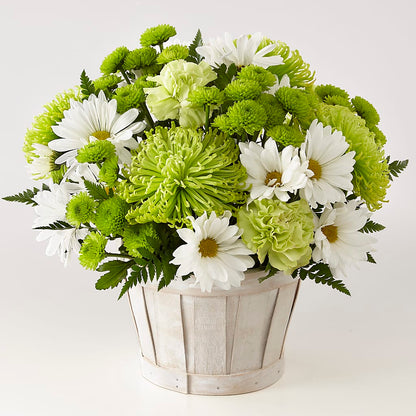 Lucky Charm Basket (Standard) –  Salem Floral Llc, West Salem WI