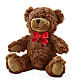 Adorable Plush Bear –  Salem Floral Llc, West Salem WI