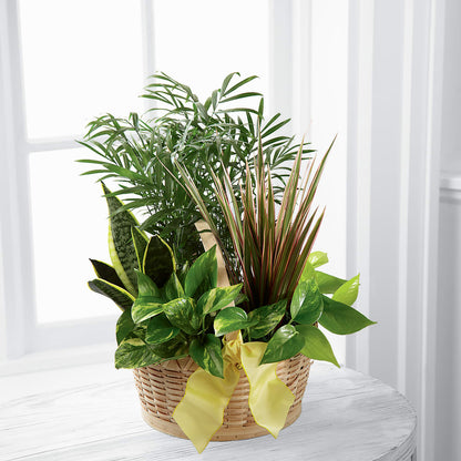 French Garden –  Salem Floral Llc, West Salem WI