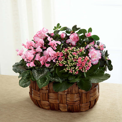 Pink Assortment –  Salem Floral Llc, West Salem WI