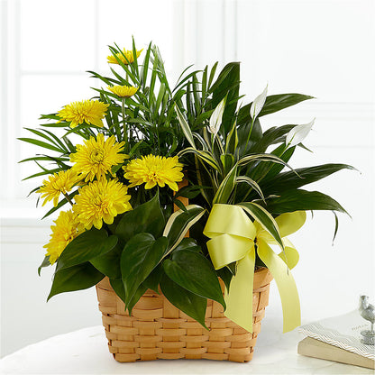 Loving Light Dishgarden –  Salem Floral Llc, West Salem WI