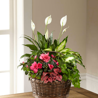 Dream in Pink Dishgarden –  Salem Floral Llc, West Salem WI