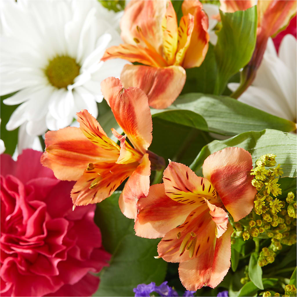 Oopsie Daisy Box Bouquet –  Salem Floral Llc, West Salem WI