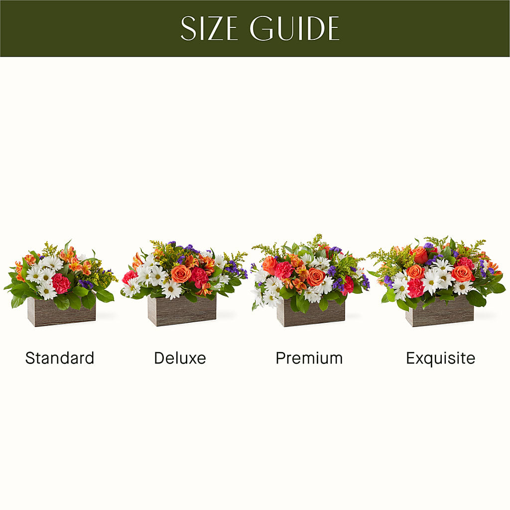 Oopsie Daisy Box Bouquet –  Salem Floral Llc, West Salem WI