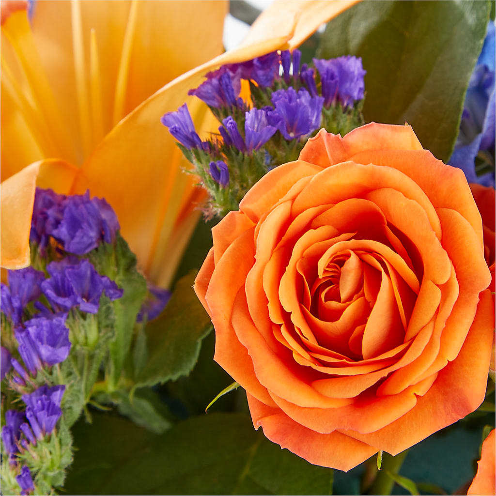 Radiant Citrus Box Bouquet –  Salem Floral Llc, West Salem WI