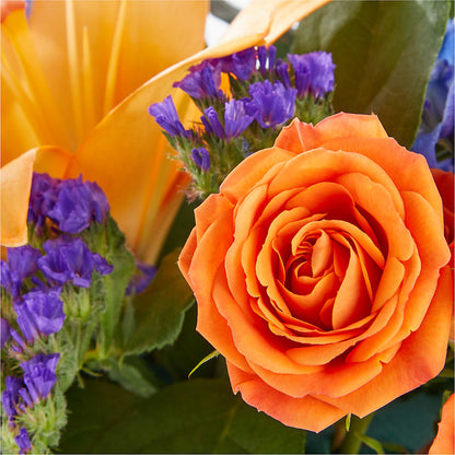 Radiant Citrus Box Bouquet –  Salem Floral Llc, West Salem WI
