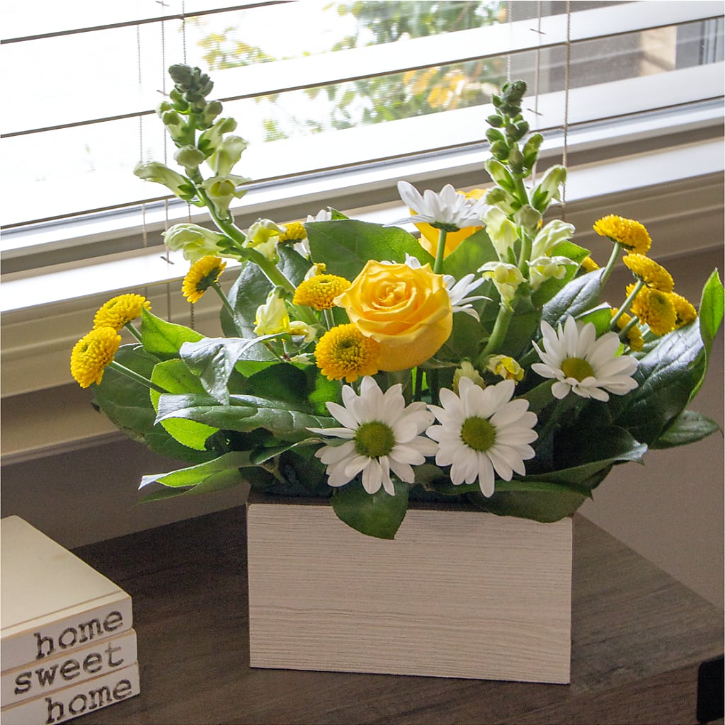 Sun Salutation Box Bouquet –  Salem Floral Llc, West Salem WI