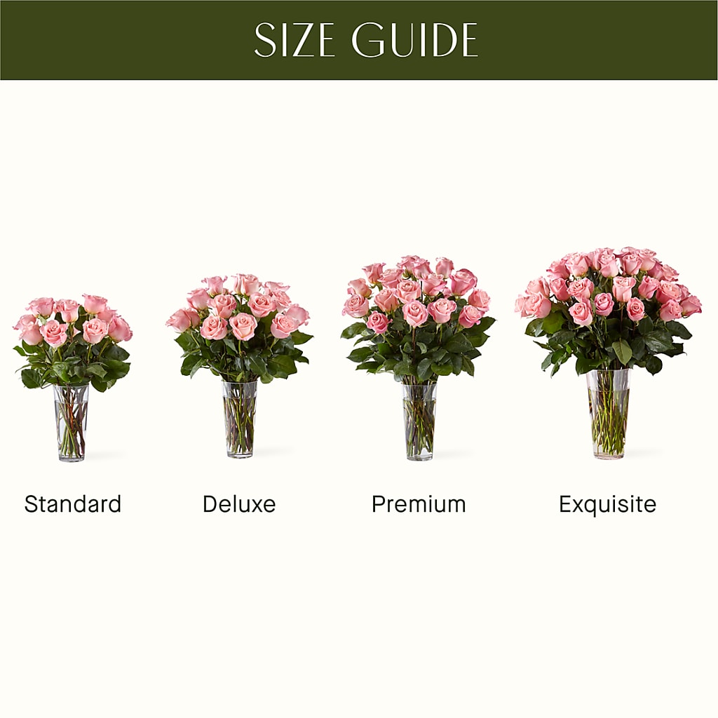 Long Stem Pink Rose Bouquet –  Salem Floral Llc, West Salem WI