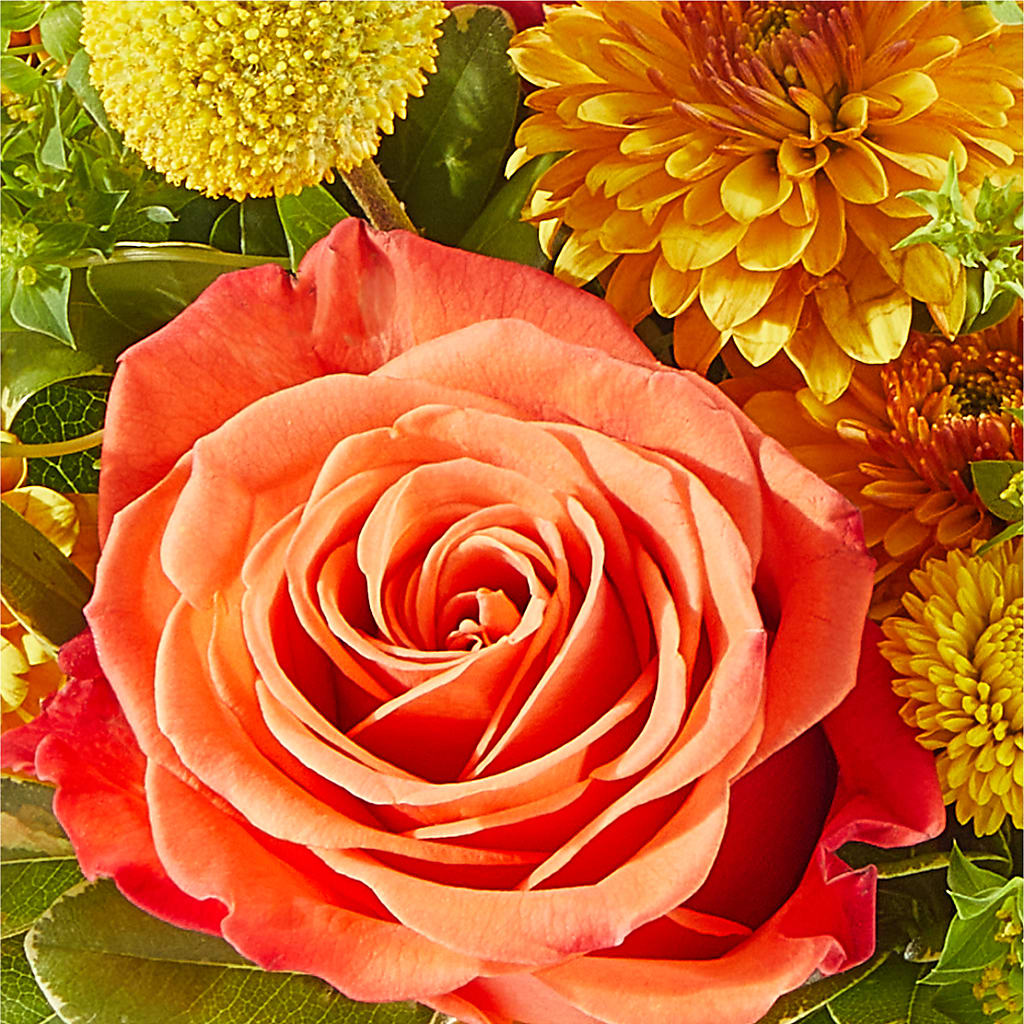 Gourdgeous Pumpkin –  Salem Floral Llc, West Salem WI