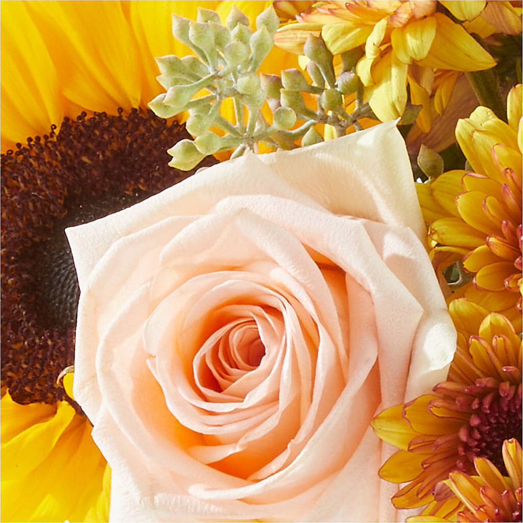 Pumpkin to Talk About Bouquet –  Salem Floral Llc, West Salem WI