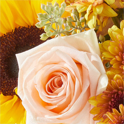 Pumpkin to Talk About Bouquet –  Salem Floral Llc, West Salem WI