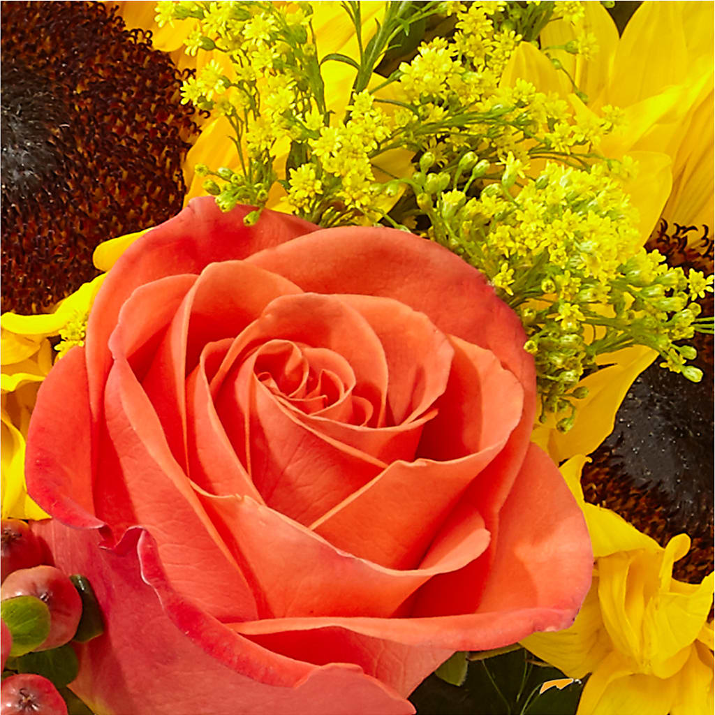 Pick of the Patch Pumpkin Bouquet –  Salem Floral Llc, West Salem WI