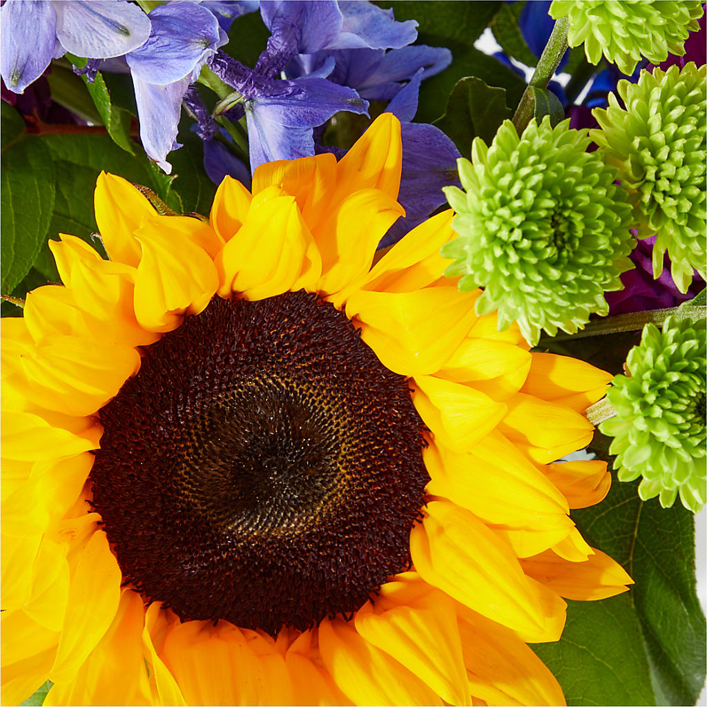 Catching Rays Bouquet –  Salem Floral Llc, West Salem WI