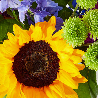 Catching Rays Bouquet –  Salem Floral Llc, West Salem WI