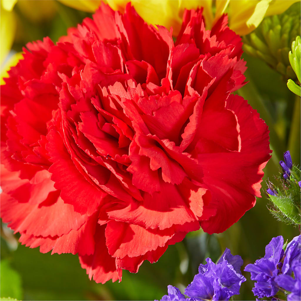 Brighter Days Bouquet –  Salem Floral Llc, West Salem WI