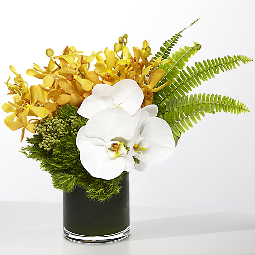 The Tropics –  Salem Floral Llc, West Salem WI