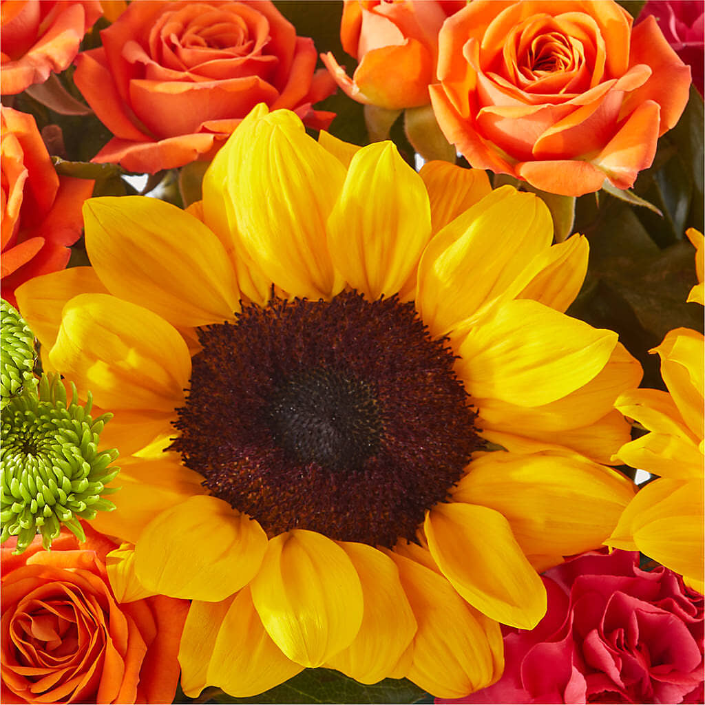 Sun-drenched Blooms Box Bouquet –  Salem Floral Llc, West Salem WI