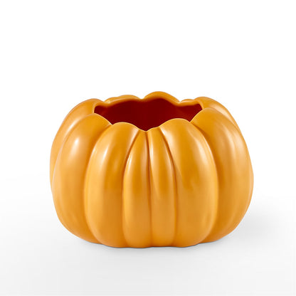 Pick of the Patch Pumpkin Bouquet –  Salem Floral Llc, West Salem WI