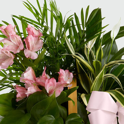 Living Spirit Dishgarden –  Salem Floral Llc, West Salem WI