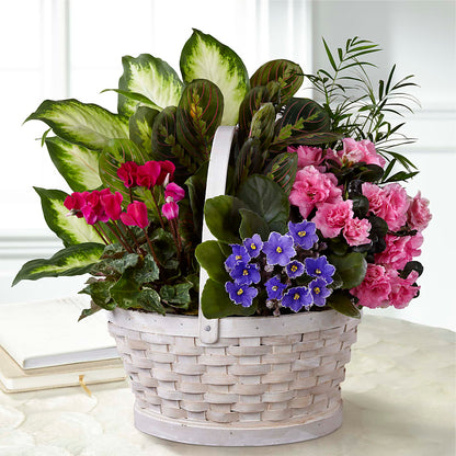 Peaceful Garden Planter –  Salem Floral Llc, West Salem WI