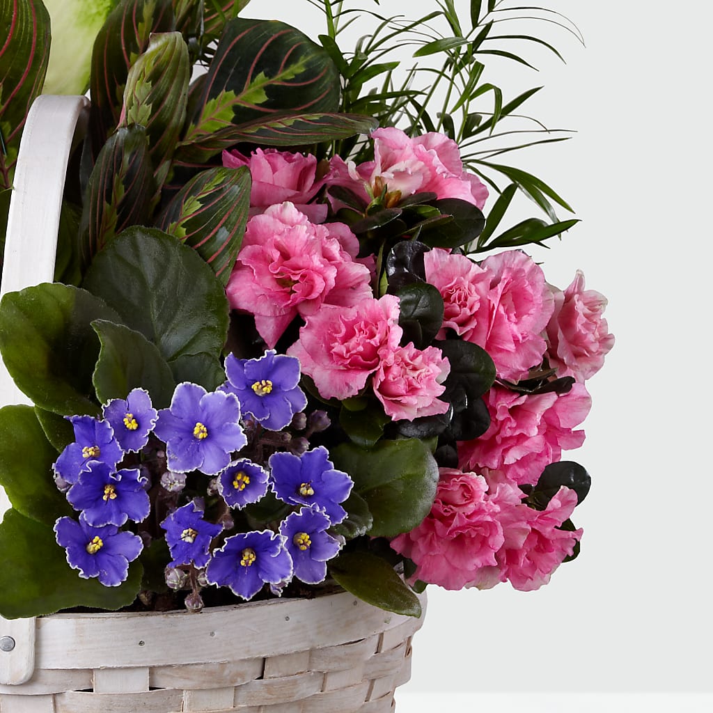 Peaceful Garden Planter –  Salem Floral Llc, West Salem WI