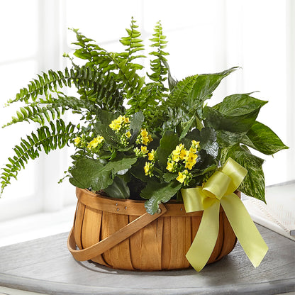 Always Dear Dishgarden –  Salem Floral Llc, West Salem WI