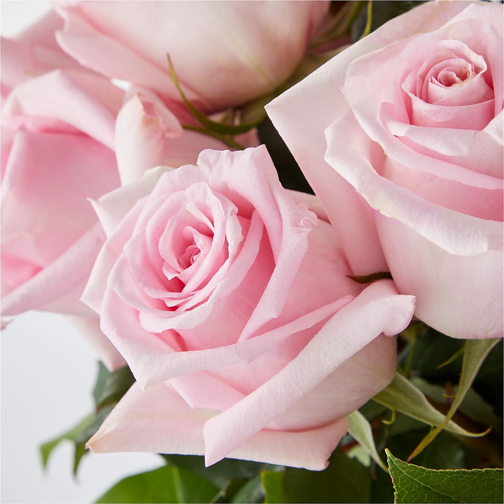 Picture Perfect Pink Rose Bouquet –  Salem Floral Llc, West Salem WI