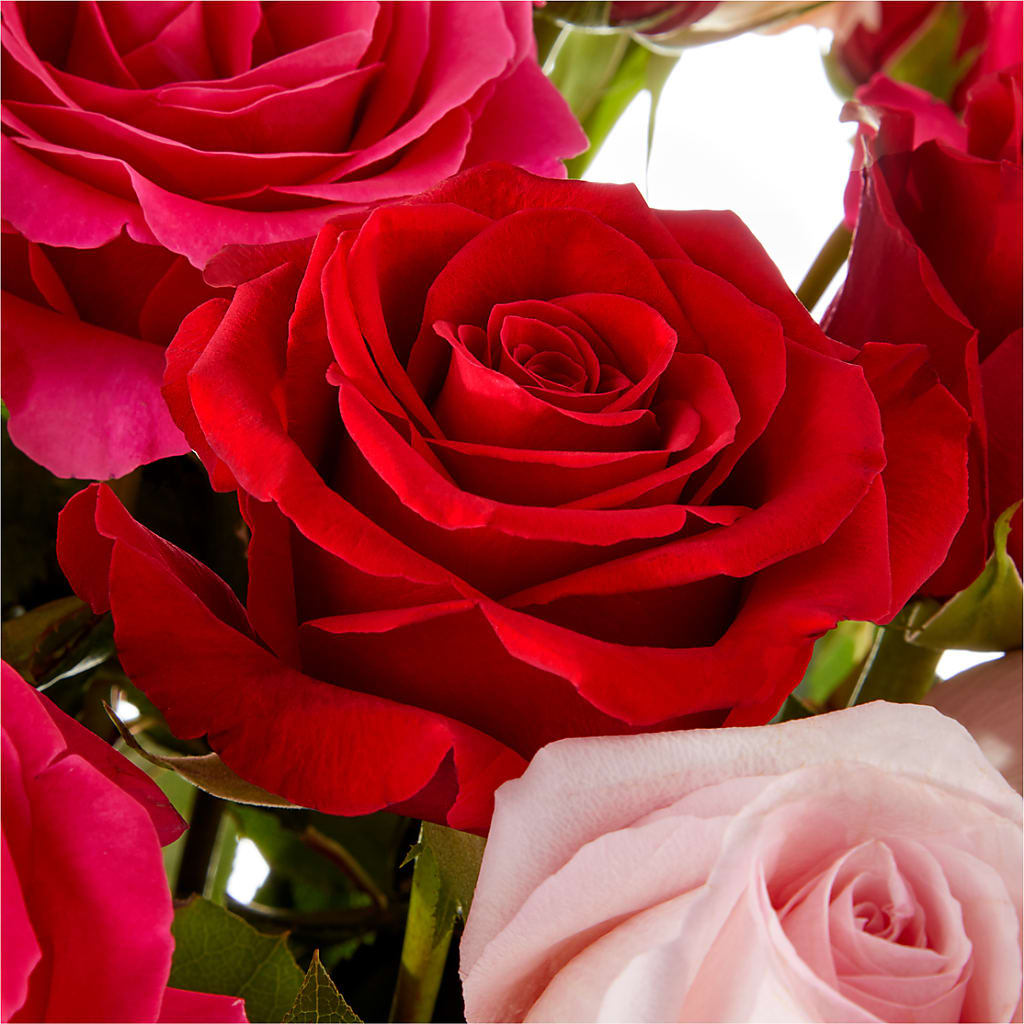 Love Notes Rose Bouquet –  Salem Floral Llc, West Salem WI