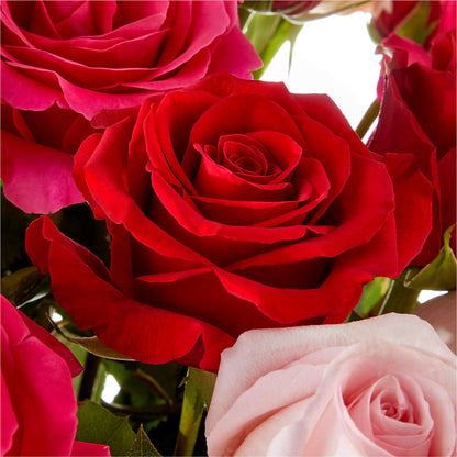 Love Notes Rose Bouquet –  Salem Floral Llc, West Salem WI