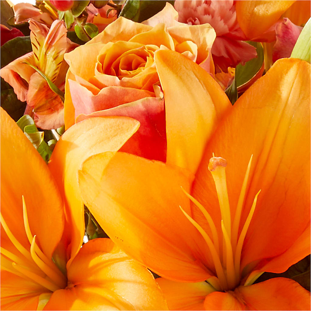 Afternoon Light Bouquet –  Salem Floral Llc, West Salem WI
