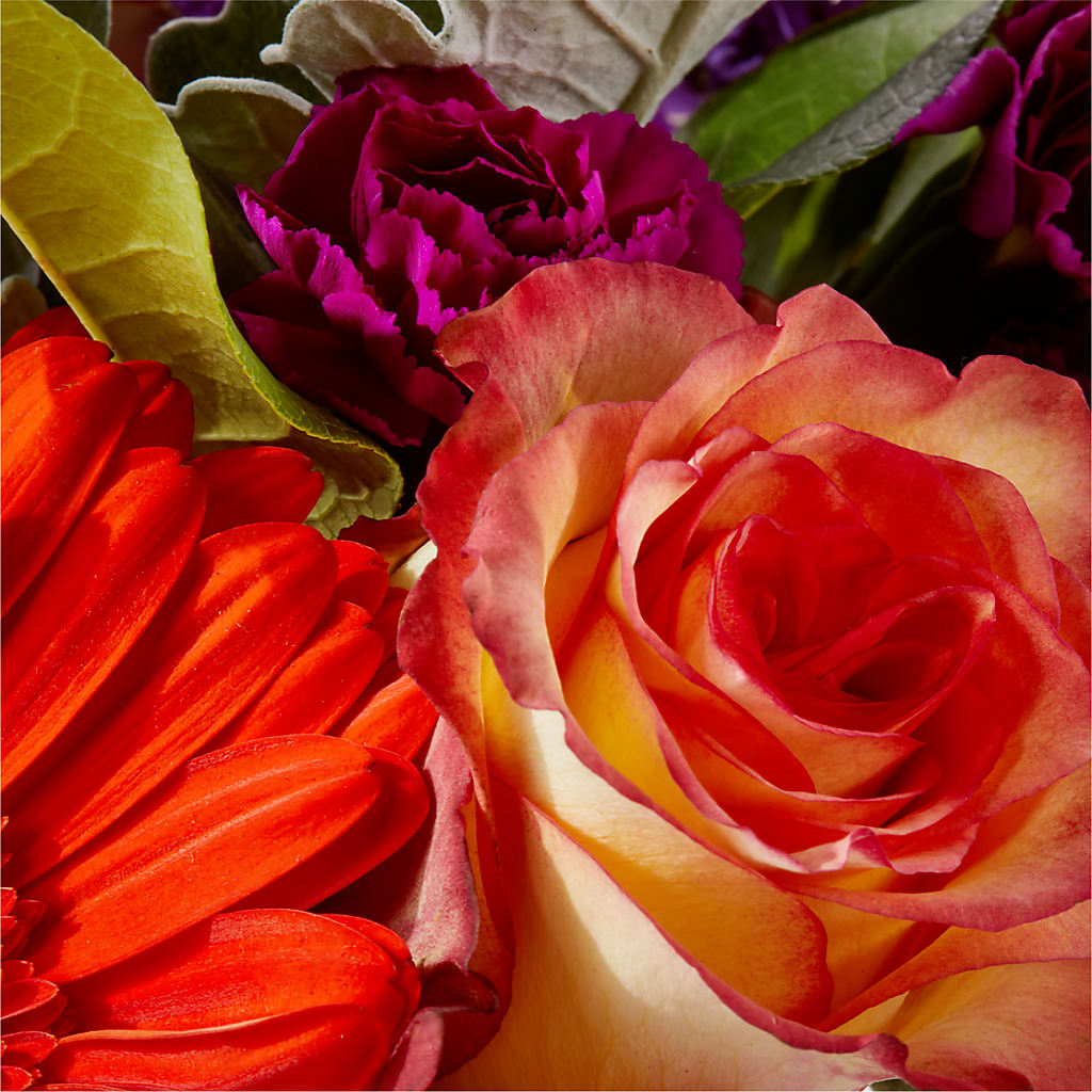 Sangria Bouquet –  Salem Floral Llc, West Salem WI