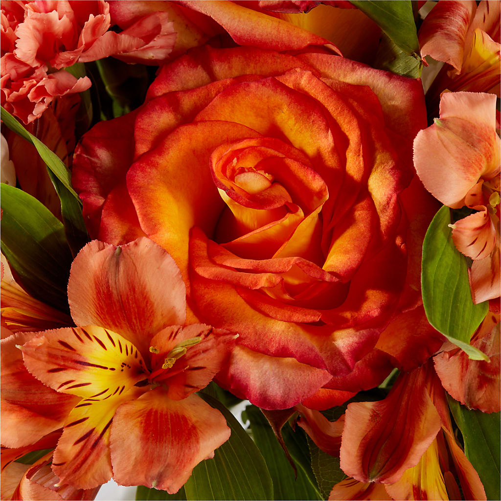 Apricot Glow Bouquet –  Salem Floral Llc, West Salem WI