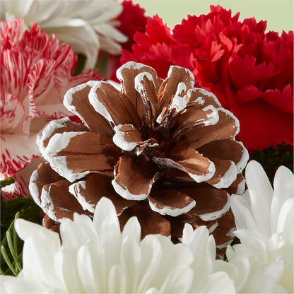 Candy Cane Lane Bouquet –  Salem Floral Llc, West Salem WI
