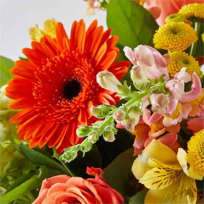 Autumn Sunshine Bouquet –  Salem Floral Llc, West Salem WI