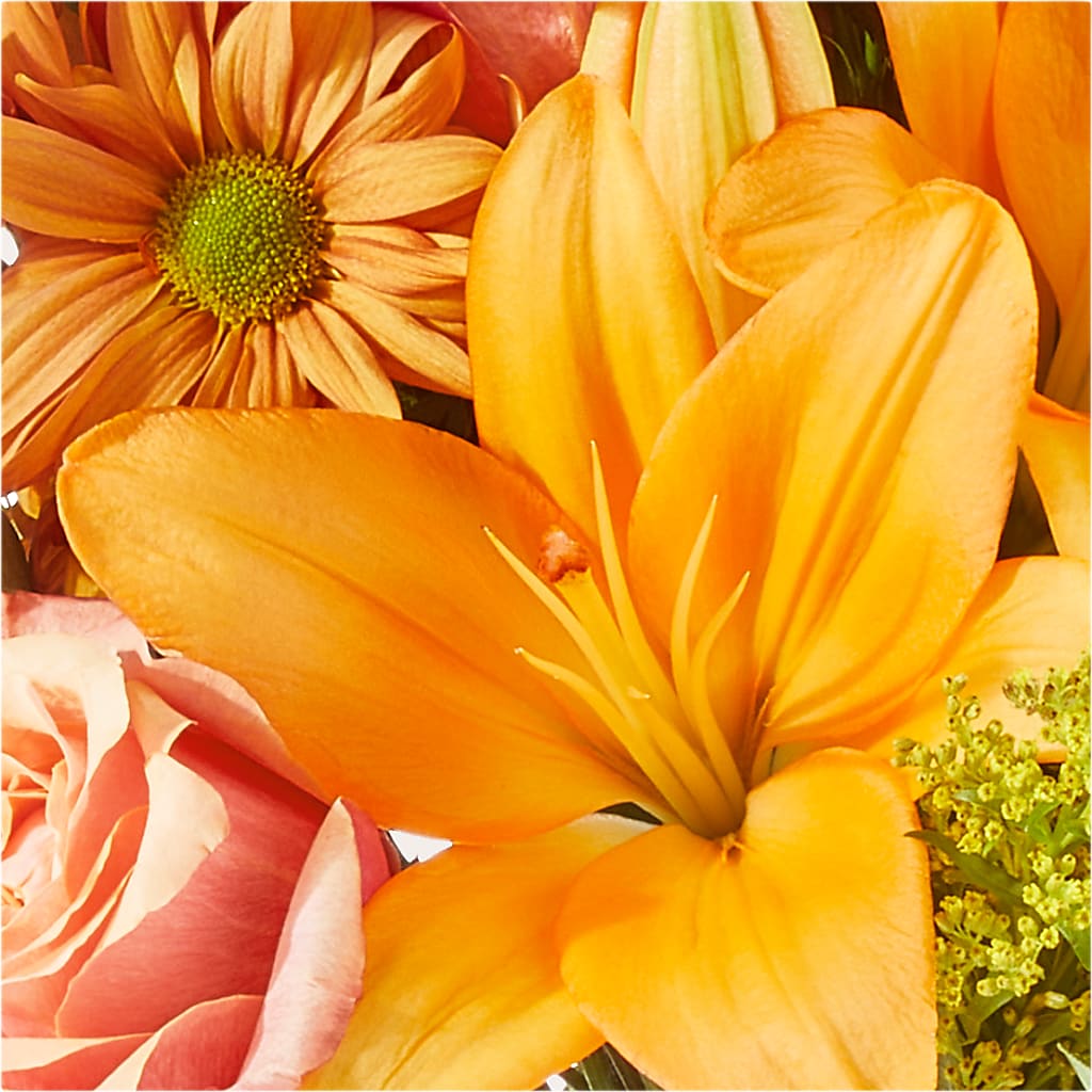 Harvest Hayride Bouquet –  Salem Floral Llc, West Salem WI